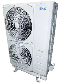 Belluna iP-6